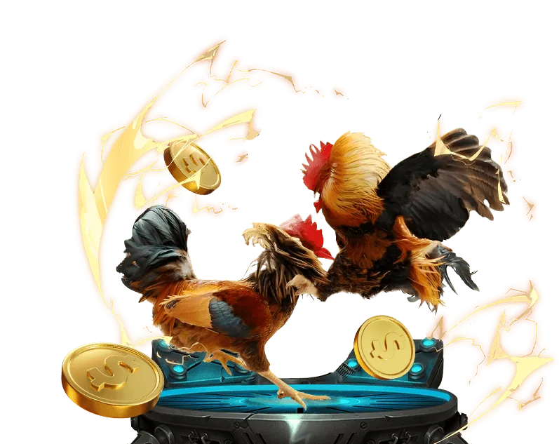 Giao diện đặt cược đá gà Zonclub